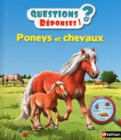 Poneys et chevaux - Questions/Réponses - doc dès 5 ans