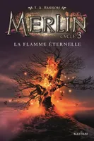 Merlin, cycle 3, 3, Merlin cycle 3 - tome 3 La flamme éternelle