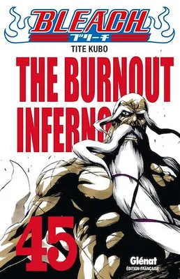 Bleach - Tome 45, The burnout inferno