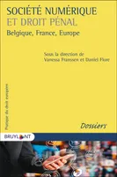 Société numérique et droit pénal, Belgique, France, Europe