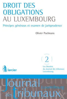Droit des obligations au Luxembourg, Principes généraux et examen de jurisprudence