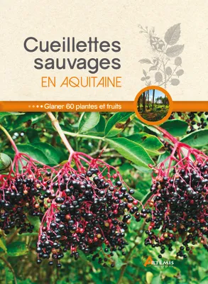Cueillettes sauvages en Aquitaine - 60 plantes et fruits à glaner