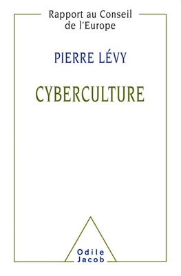Cyberculture, Rapport au Conseil de l'Europe