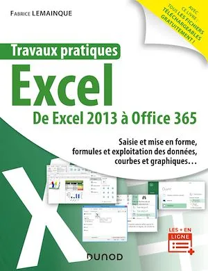 Travaux pratiques - Excel, Toutes versions 2013 à 2019 et Office 365