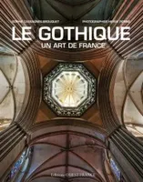Le gothique , un art de France