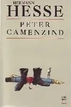 Peter Camenzind, récit