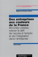 Des entreprises aux couleurs de la France, minorités visibles, relever le défi de l'accès à l'emploi et de l'intégration dans l'entreprise