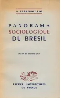 Panorama sociologique du Brésil