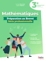 Mathématiques - Préparation au Brevet Série professionnelle