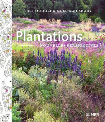Plantations : Nouvelle perspective, nouvelles perspectives