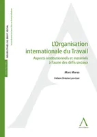 L' Organisation internationale du travail, Aspects institutionnels et matériels à l'aune des défis sociaux