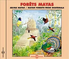 FORETS MAYAS 5 PAYSAGES SONORES DE FORETS DU GUATEMALA