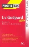 Profil - Tomasi di Lampedusa : Le Guépard, Analyse littéraire de l'oeuvre