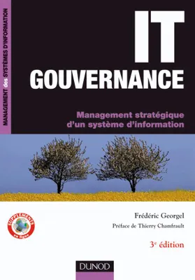IT Gouvernance - 3ème édition, Management stratégique d'un système d'information