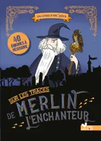 Un livre d'enquête, Sur les traces de Merlin l'enchanteur, 40 énigmes à résoudre