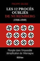 Les 12 procès oubliés de Nuremberg (1946-1949), Plongée dans l'impossible dénazification de l'Allemagne