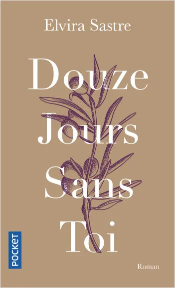 Livres Littérature et Essais littéraires Romans contemporains Francophones Douze jours sans toi Elvira Sastre