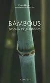 BAMBOUS : ROSEAUX ET GRAMINEES