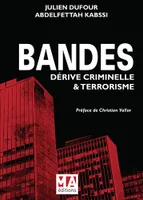 BANDES : DERIVE CIMINELLE ET TERRORISME