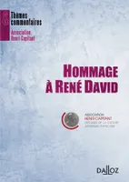 Hommage à René David, Thèmes et commentaires
