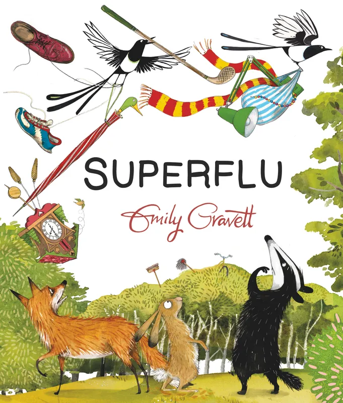 Livres Jeunesse de 3 à 6 ans Albums Superflu Emily Gravett