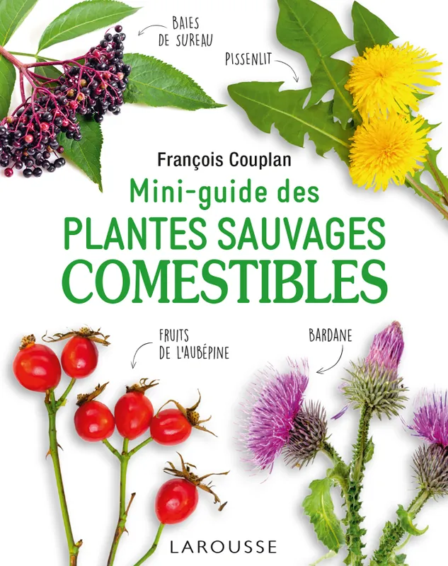 Livres Mer Mini-guide des plantes sauvages comestibles François Couplan