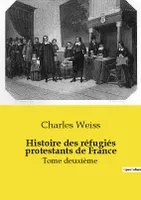 Histoire des réfugiés protestants de France, Tome deuxième