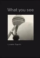 Luciano Rigolini What You See /multilingue