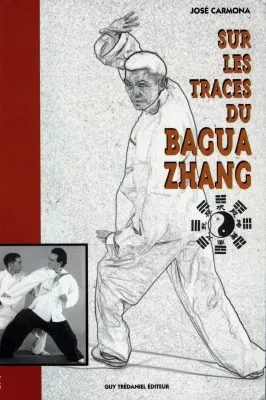Sur les traces du bagua zhang, l'art martial des huit trigrammes