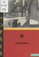 El, Luis Buñuel, Étude critique