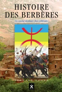 Histoire des Berbères, Un combat identitaire plurimillénaire