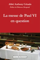 La messe de Paul VI en question, Critique théologique de la messe de paul vi