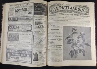 Le Petit Jardin. Journal pratique de Jardinage et de la Vie à la Campagne (1908 - 15e année)