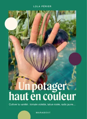 Un potager haut en couleur, Cultiver la variété : tomate violette, laitue rosée, radis jaune