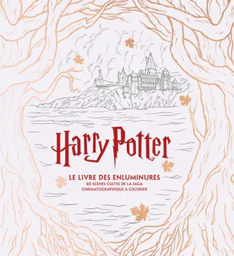 Harry Potter / le grand livre de coloriage