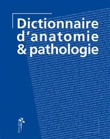 Dictionnaire d'anatomie & pathologie