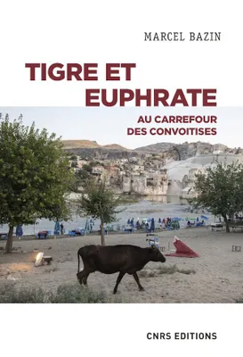 Tigre et Euphrate, Au carrefour des convoitises
