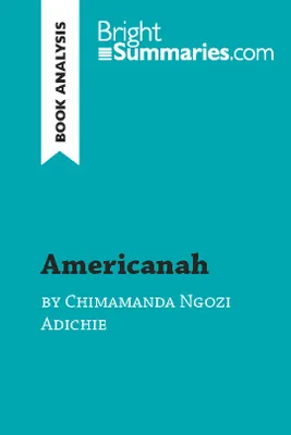 Americanah by Chimamanda Ngozi Adichie (Book Analysis), Detailed Summary, Analysis and Reading Guide