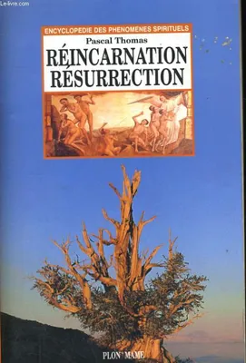 REINCARNATION RESURRECTION