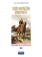 Louis Napoléon Bonaparte, Histoire de Napoléon III