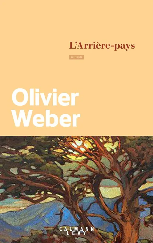 Livres Littérature et Essais littéraires Romans contemporains Francophones L'Arrière-pays, Roman Olivier Weber