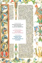 Les Manuscrits du Musee Plantin-Moretus, Un Delice Pour les Yeux