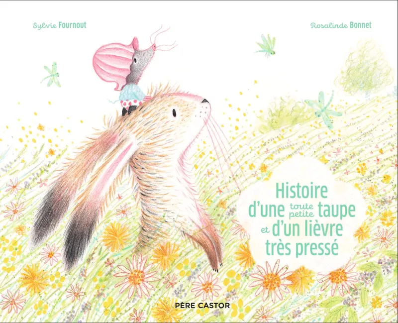 Livres Jeunesse de 3 à 6 ans Albums Histoire d'une toute petite taupe et d'un lièvre très pressé Sylvie Fournout