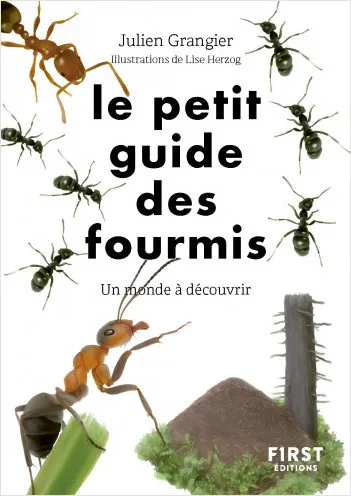 Livres Écologie et nature Nature Faune Le Petit guide des fourmis Julien Grangier