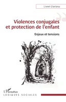 Violences conjugales et protection de l’enfant, Enjeux et tensions