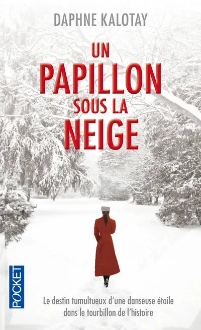 Livres Littérature et Essais littéraires Romance Un papillon sous la neige Daphne Kalotay