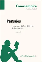 Pensées de Pascal - Fragments 425 et 430 : le divertissement (Commentaire), Comprendre la philosophie avec lePetitPhilosophe.fr