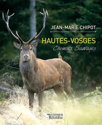 Hautes-Vosges, chemins sauvages