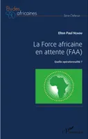 La Force africaine en attente (FAA), Quelle opérationnalité ?