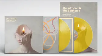 LP / Almond & The Seahorse  / O.S.T / Rhys Gruff